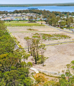 Village Grove - REGENESIS